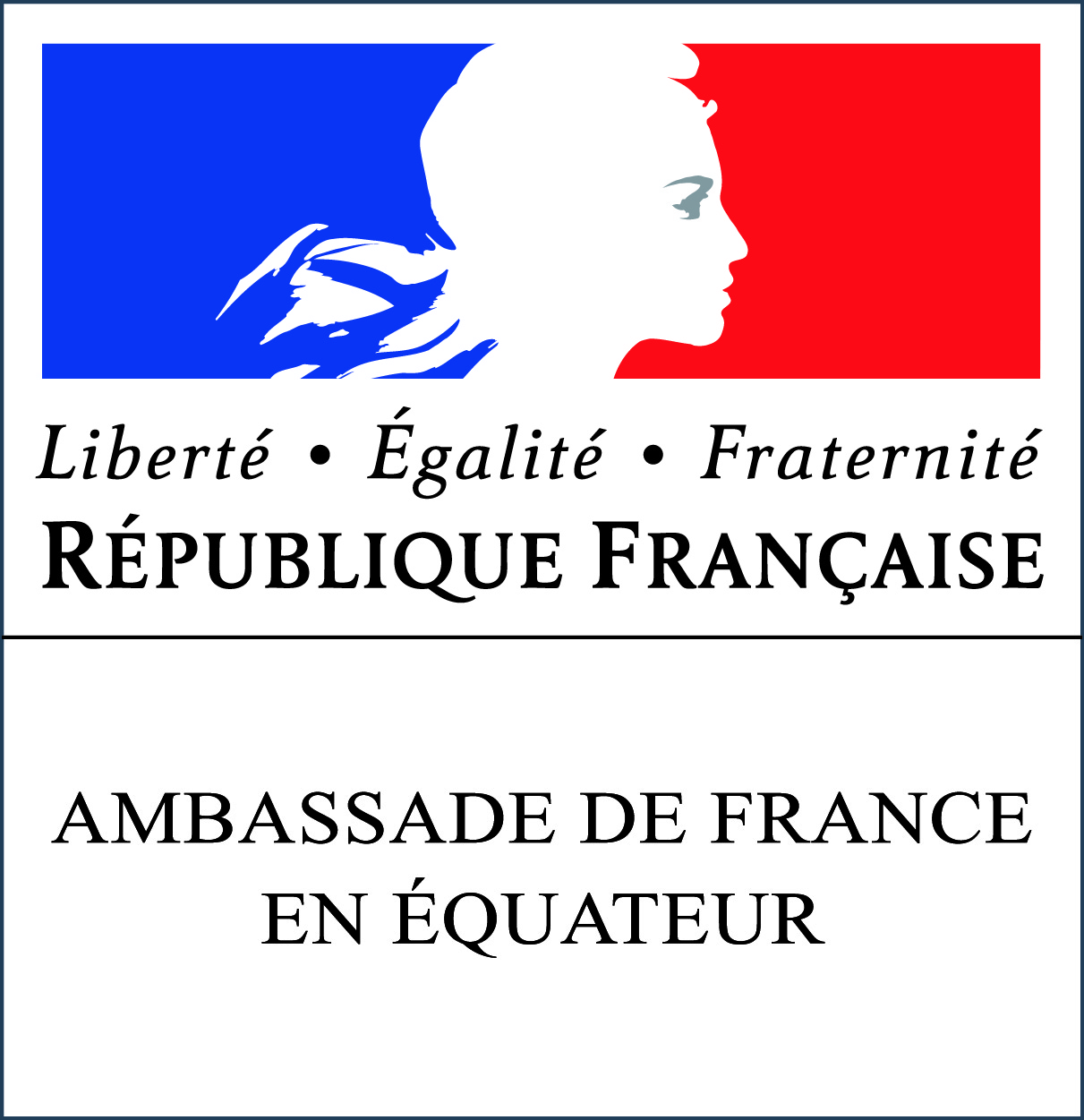 Ambassade de France